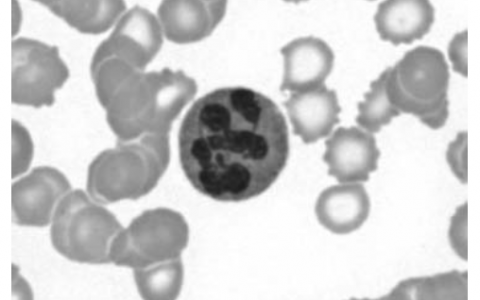 每日一题_2023.06.29