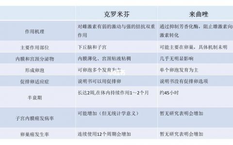 每日一题_2023.06.04