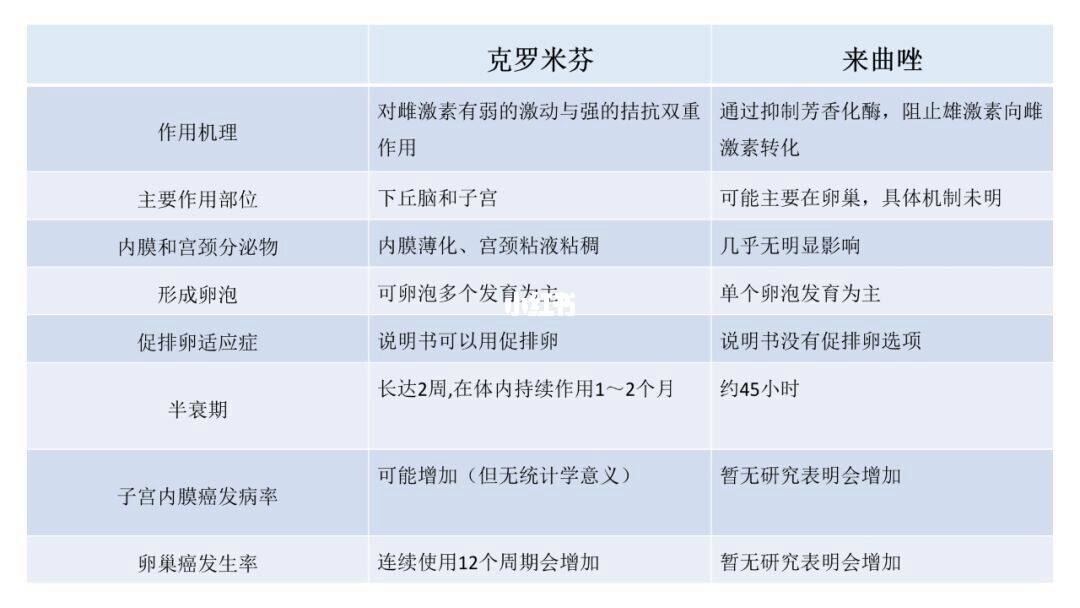 每日一题_2023.06.04