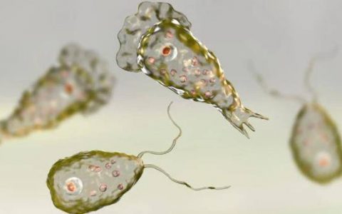 每日一题_2023.06.19