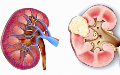 每日一题_2023.06.03