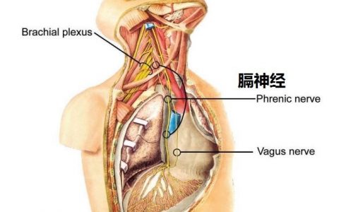 每日一题_2023.06.18