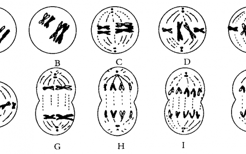 每日一题_2023.06.10