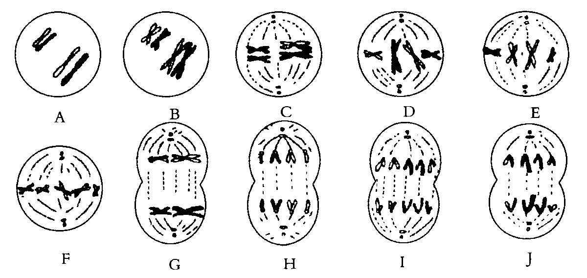 每日一题_2023.06.10