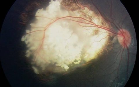 每日一题_2023.06.15