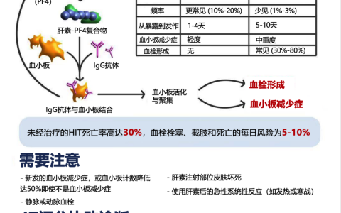 肝素诱导的血小板减少症（HIT）