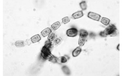 每日一题_2023.07.01