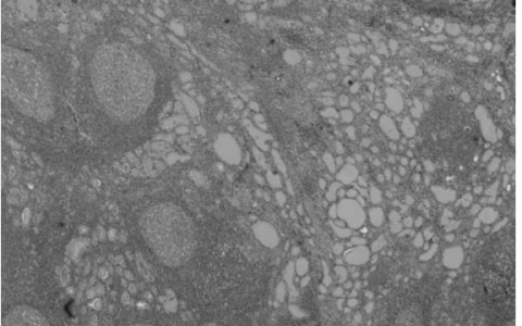 每日一题_2023.07.03