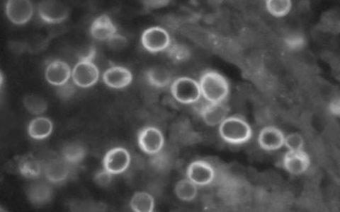 每日一题_2023.07.08