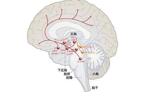 每日一题_2023.07.29