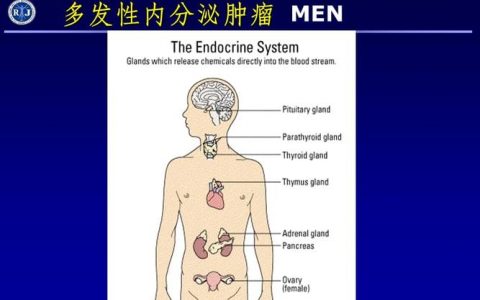 每日一题_2023.07.23