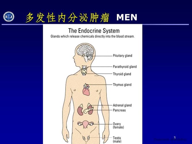 每日一题_2023.07.23