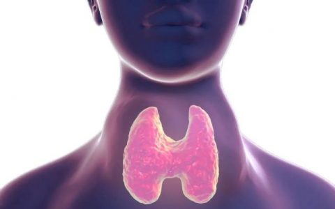 每日一题_2023.07.28