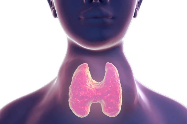 每日一题_2023.07.28