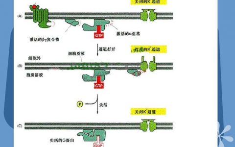 每日一题_2023.07.14