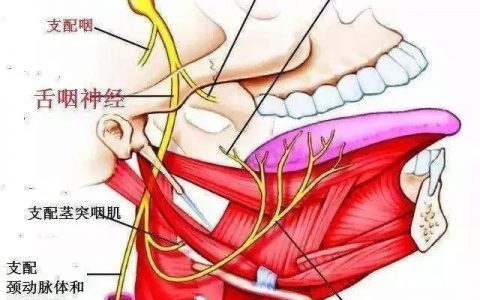 每日一题_2023.07.02