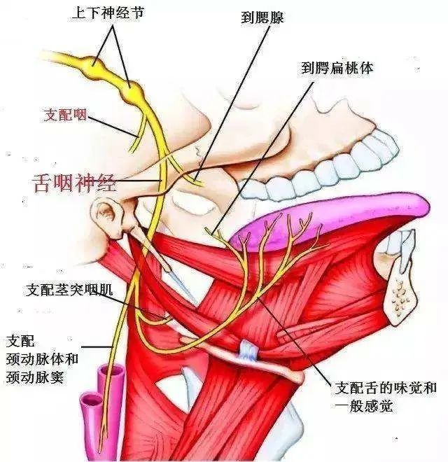 每日一题_2023.07.02