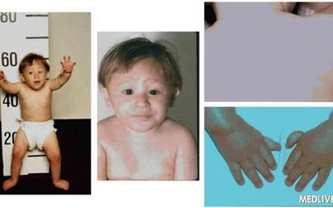 每日一题_2023.07.22