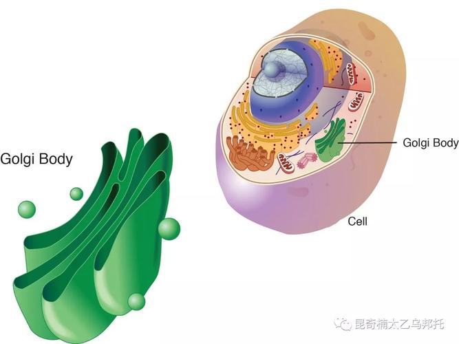 每日一题_2023.07.04