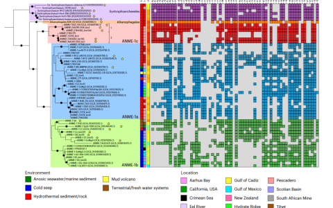 在模仿中精进数据可视化-ggplot2+ggtree复现Nature Microbiology的Figure1