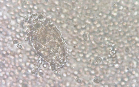 每日一题_2023.07.27