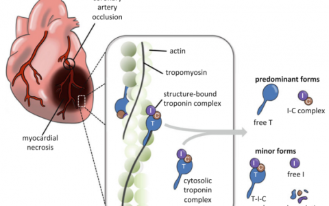 每日一题_2023.07.31