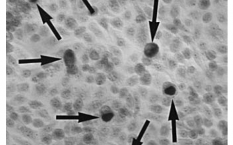 每日一题_2023.08.03