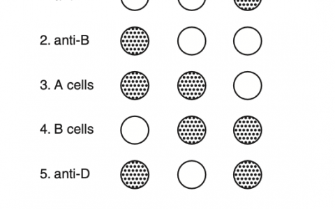 每日一题_2023.08.09