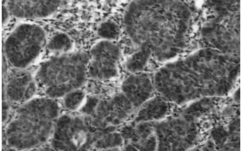 每日一题_2023.08.14