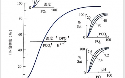 氧合解离曲线
