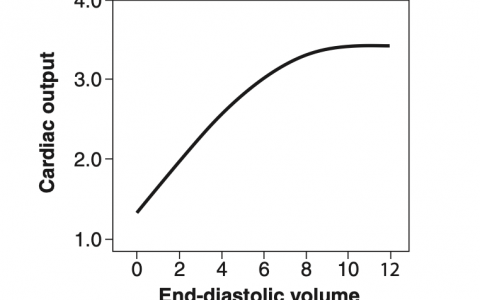 每日一题_2023.08.18