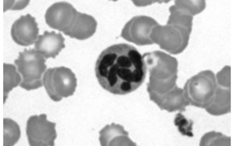 每日一题_2023.08.20