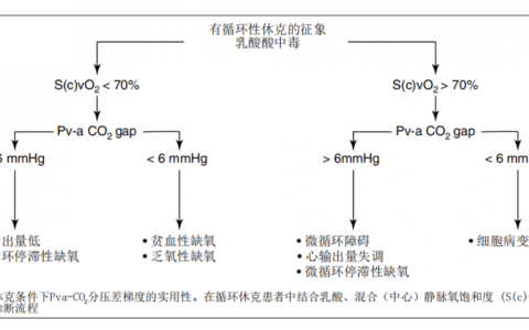 静-动脉二氧化碳分压差