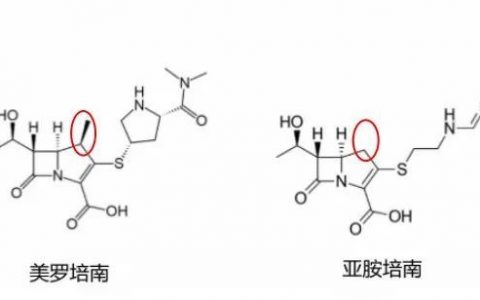 每日一题_2023.08.26