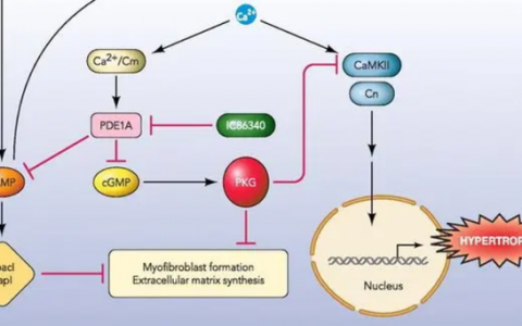 每日一题_2023.08.12