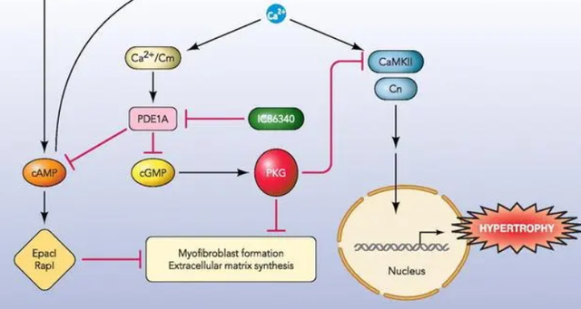 每日一题_2023.08.12