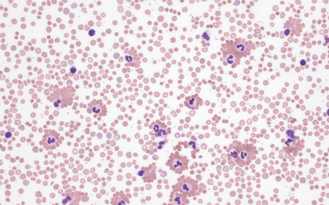 每日一题_2023.08.11