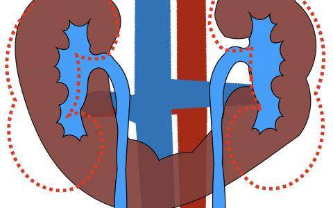 每日一题_2023.09.02