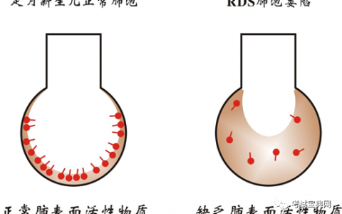 每日一题_2023.09.11