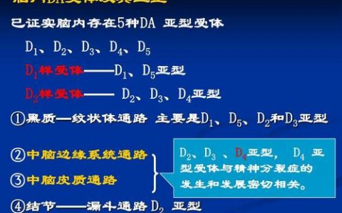 每日一题_2023.09.01