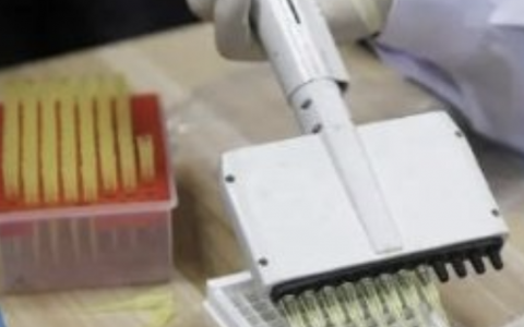 每日一题_2023.09.04