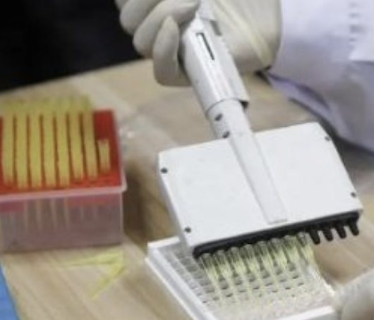 每日一题_2023.09.04