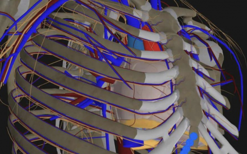 每日一题_2023.09.12