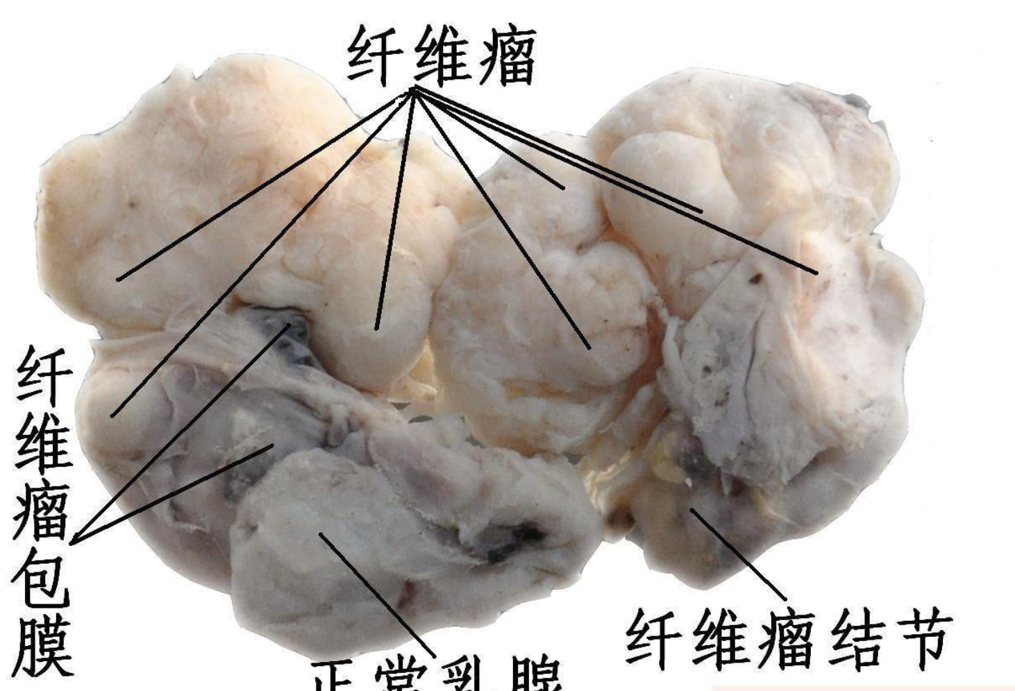 每日一题_2023.09.15