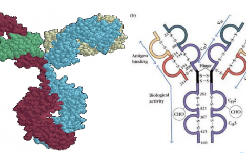 每日一题_2023.09.25