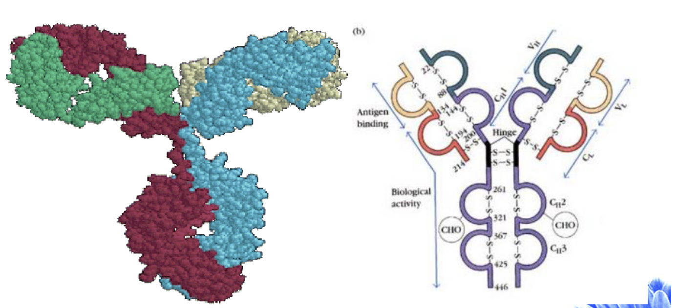 每日一题_2023.09.25