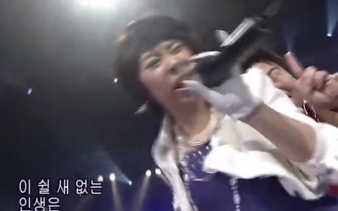 乌龟组合《bingo》