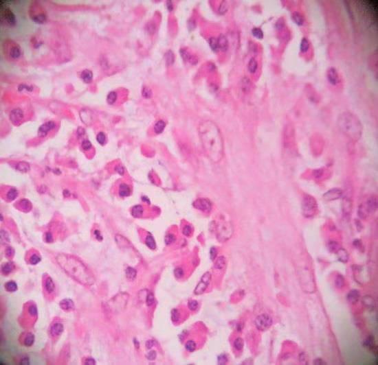 每日一题_2023.09.06