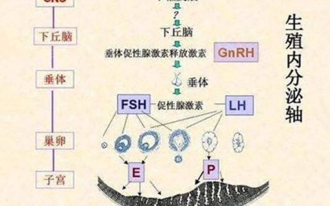 每日一题_2023.09.09