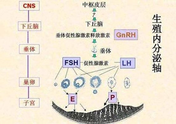每日一题_2023.09.09